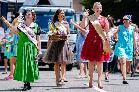Der Rheinland-Pfalz-Tag 2020 in Andernach - hier Aufnahmen der Veranstaltung im Jahr 2019 in Annweiler - wurde wegen des Coronavirus abgesagt.  Foto: Uwe Anspach/dpa