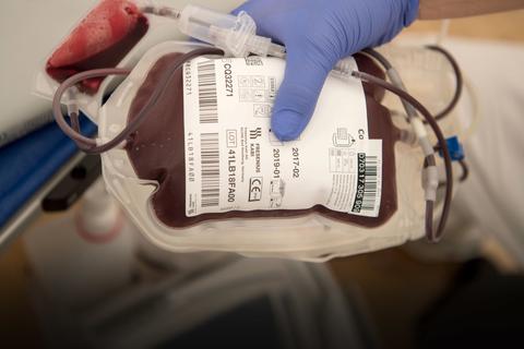 Eine Sanitäterin hält einen Beutel mit Blut in der Hand.  Foto: dpa
