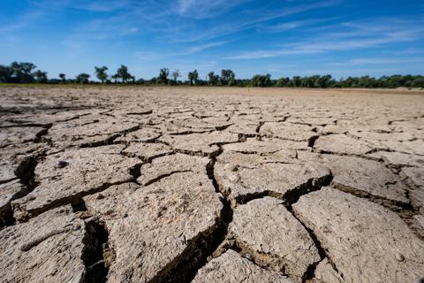 Trockenheit im Sommer gilt als Indiz für den Klimawandel.