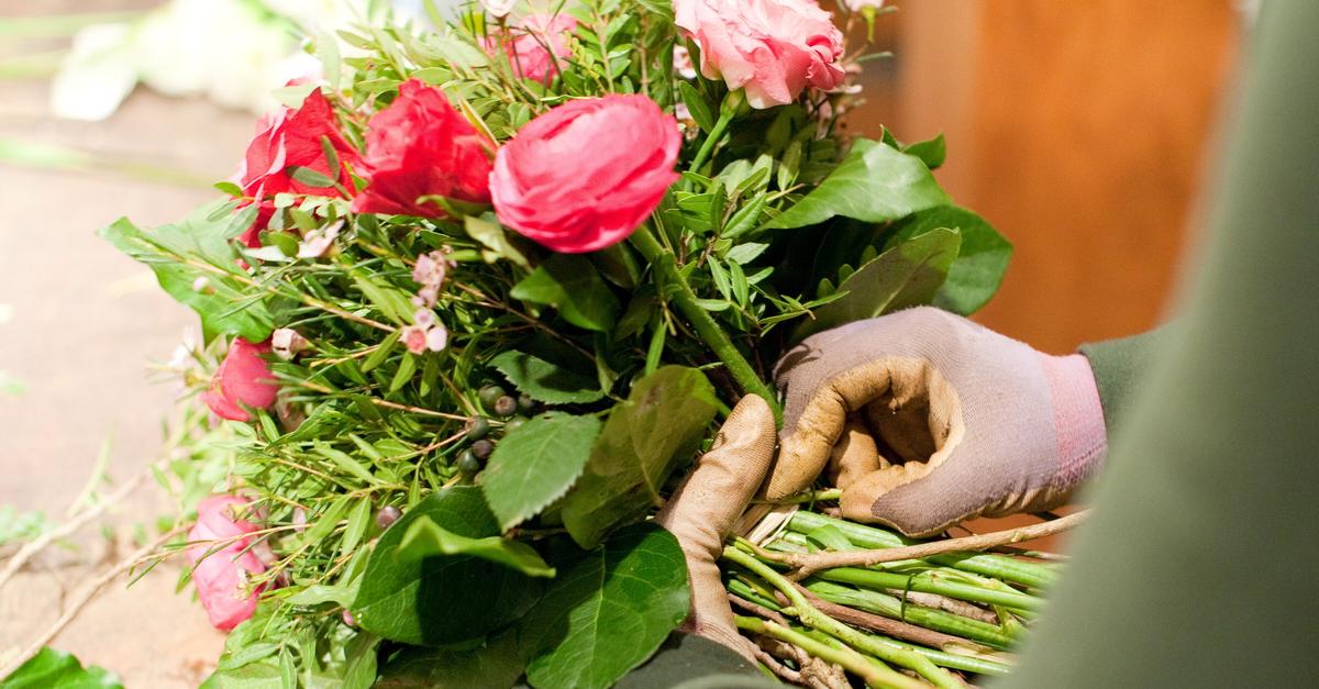 Winterblumen-bringen-Farbe-ins-Haus-so-bleiben-sie-frisch