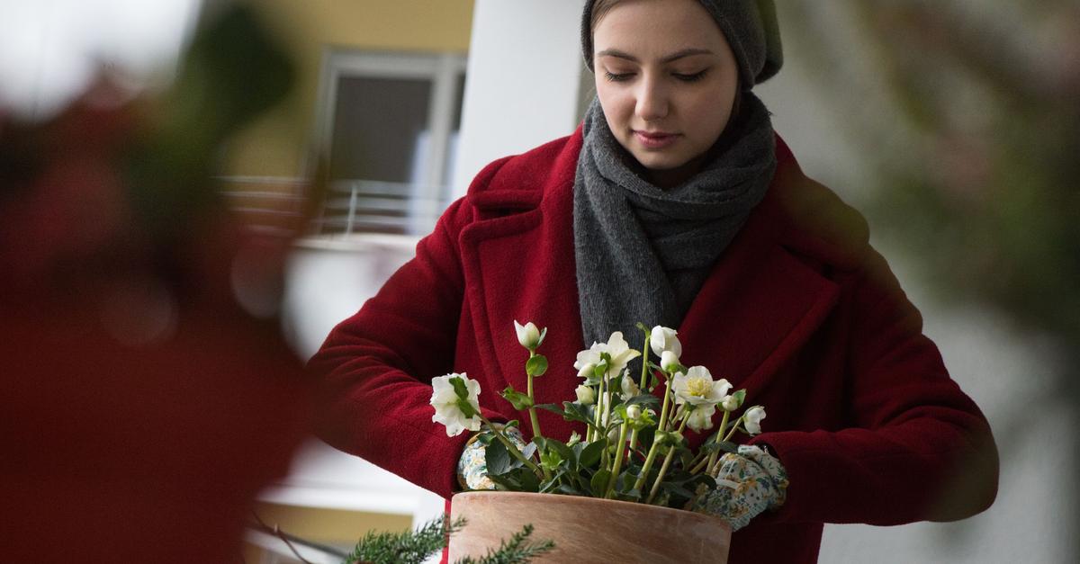 Weihnachtszeit-Nachhaltig-und-nat-rlich-dekorieren