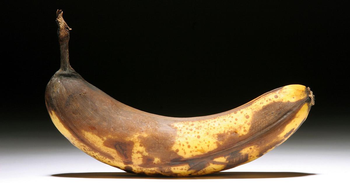 Braune-Banane-ist-unappetitlich-Sie-macht-Babys-beschwipst