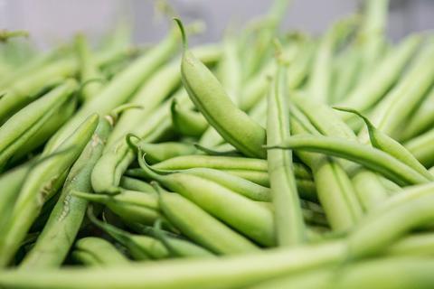 Bohnen dürfen Sie nicht roh essen, da die Hülsenfrüchte Blausäure enthalten - also erst kochen und dann den Bohnensalat zubereiten. © Robert Günther/dpa-tmn