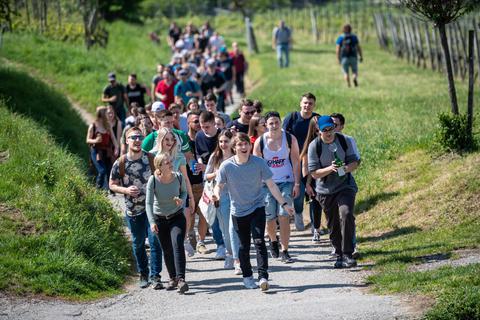 Die Bergsträßer Weinlagenwanderung, hier ein Foto aus dem Jahr 2019, muss zum zweiten Mal ausfallen. Archivfoto: Sascha Lotz