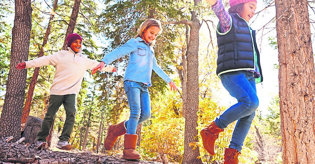 Stiftung-f-rdert-Bildung-mit-Workshops-in-Mittelhessen