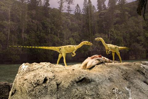 Zwei Compsognathus-Saurier freuen sich über ein üppiges Mahl. Foto: Gondwana Das Prähistorium 