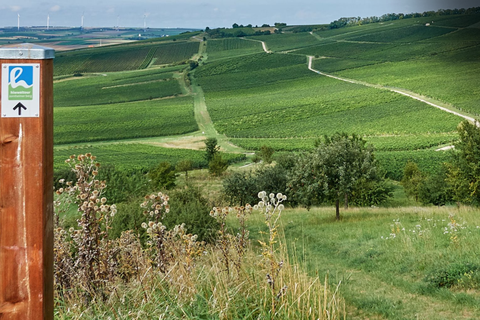 Der Selzer Frank Hamm, Kultur- und Weinbotschafter Rheinhessens, Blogger, Autor und Publizist nimmt uns mit auf seine Lieblingsstrecke die Hiwweeltour Zornheim, etwa 15 Kilometer südlich von Mainz. Foto: Frank Hamm