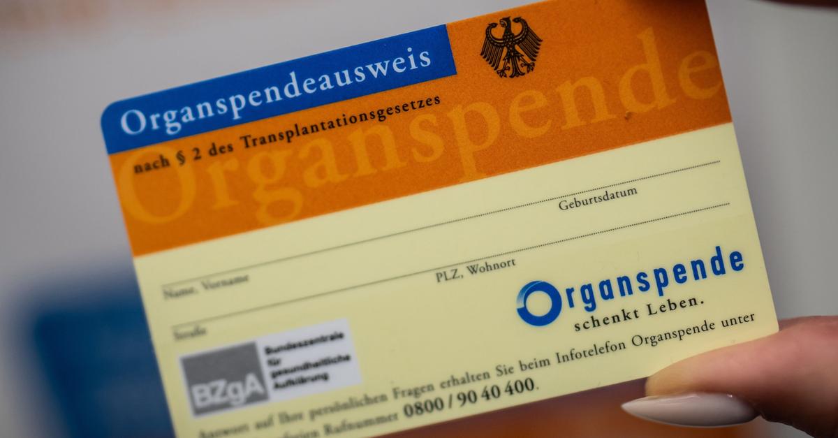 Bundesregierung-plant-leichteren-Zugang-zu-Spendernieren