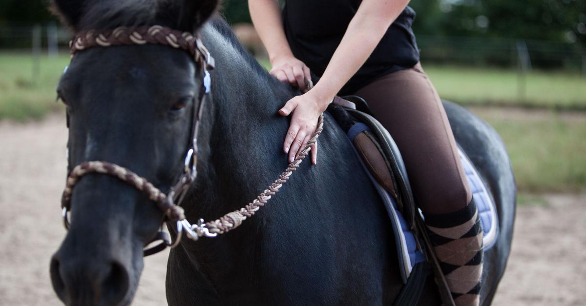 Experience equine therapy up close in Altenkirchen