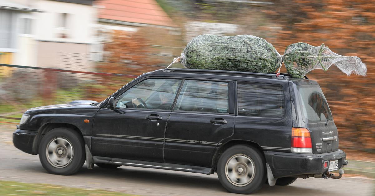 So-kommt-der-Christbaum-sicher-heim