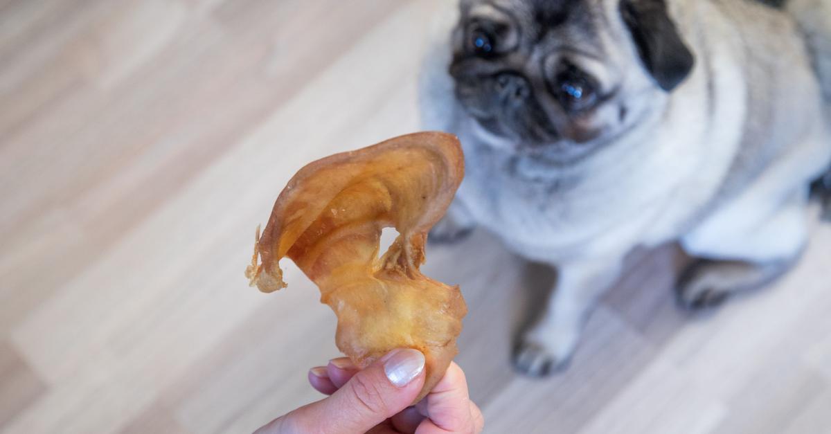 Snack-und-Hund-m-ssen-zusammenpassen