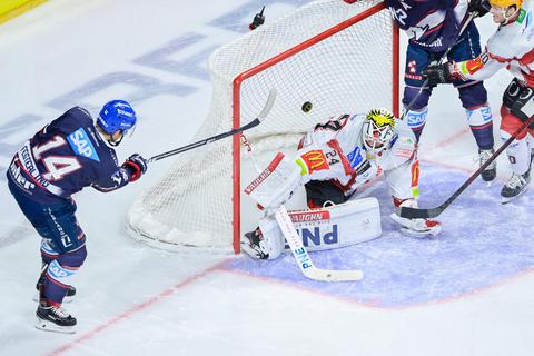 Mannheims Garrett Festerling (links) überwindet Bremerhavens Torwart Jaroslav Hübl zur zwischenzeitlichen 3:2-Führung. Foto: dpa