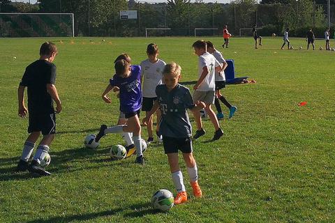 Es bleibt dabei: Ein Training in räumlich voneinander getrennten Klein- und Kleinstgruppen ist derzeit weder im Junioren- noch im Seniorenbereich gestattet. Dazu zählt auch ein verkapptes Gruppentraining in Form von mehreren gleichzeitig stattfindenden Individualtrainings.  Foto: André Bethke 