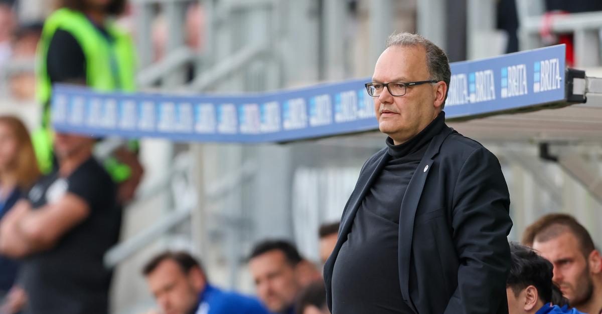 Der SV Wehen Wiesbaden als etablierter Zweitligist