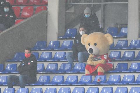 Heidenheims bäriges Maskottchen „Paule“ ganz entspannt an seinem Arbeitsplatz. Foto: Florian Ulrich