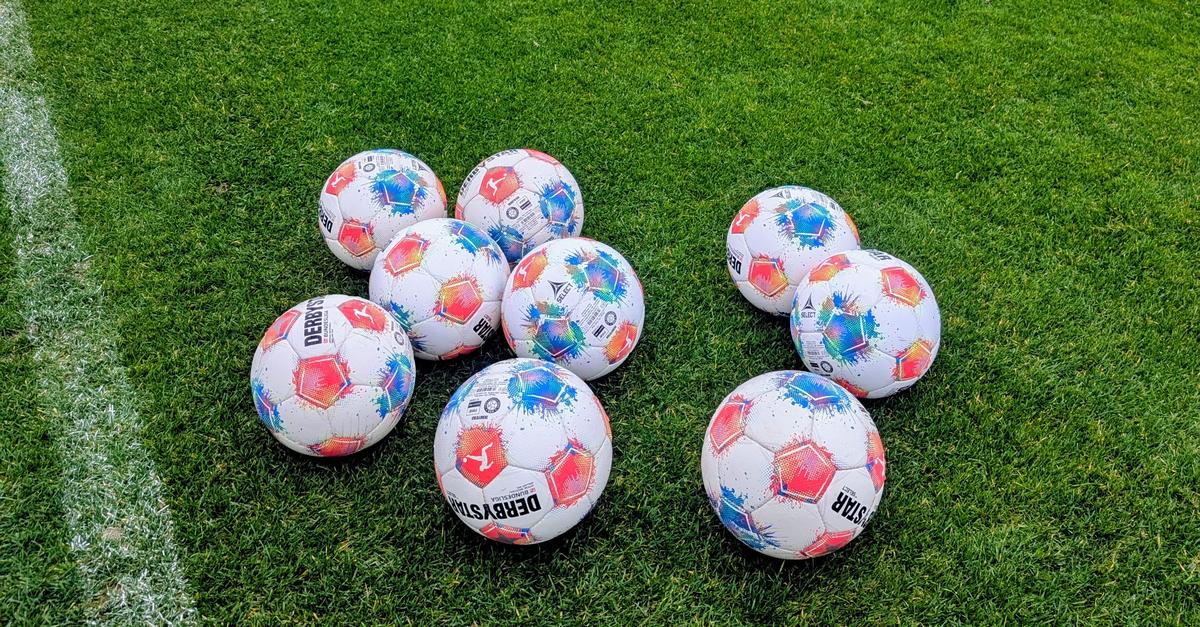 Live-Ticker-Ein-Lilien-Tag-im-Zeichen-der-Regeneration