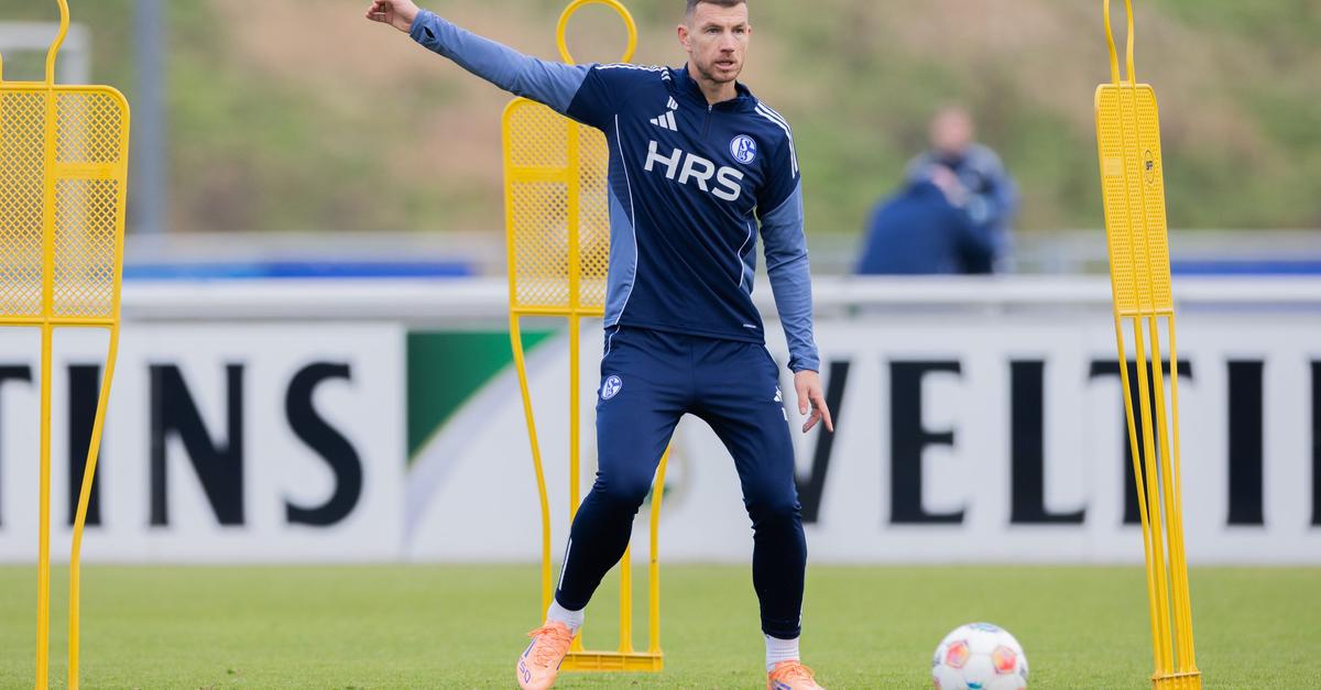 Hype-auf-Schalke-1-200-Fans-besuchen-erstes-Dzeko-Training