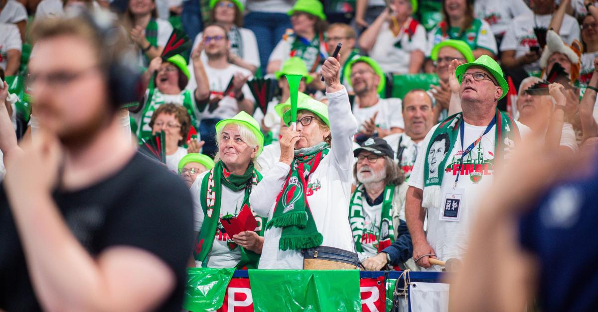Stirbt-der-Handball-Fan-aus-