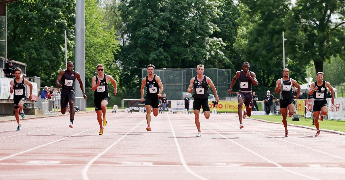 Die Sternchen bei „Fast Arms, Fast Legs“ strahlen hell
