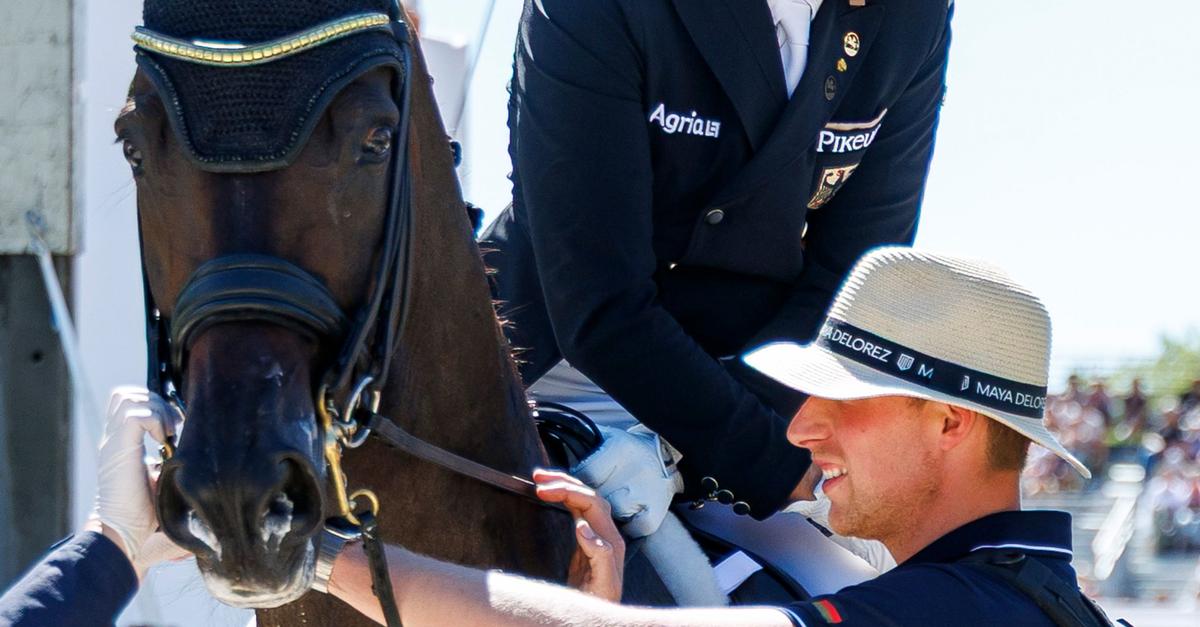 Dressur-Olympiasieger-Wandres-macht-Pferdepfleger-Antrag
