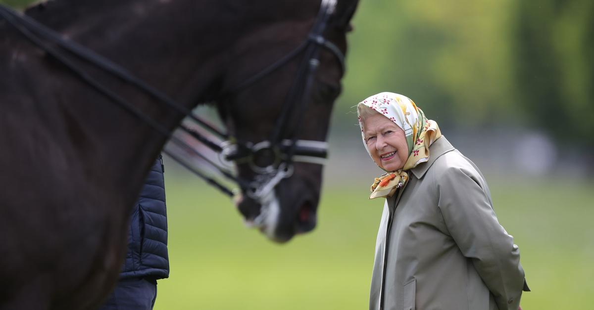 Dressur-Reitsportwelt-trauert-um-Ausnahmepferd-Valegro