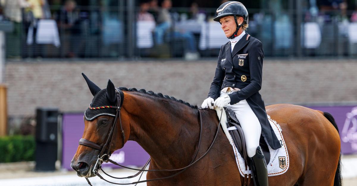 Nach-Zitterpartie-feiern-Werth-und-Co-Dressur-Gold