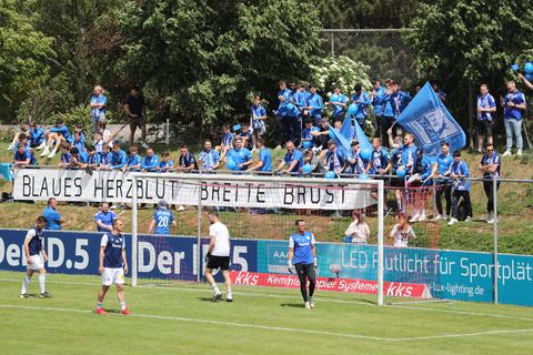 Die Fans des TSV Schott Mainz beim Verbandspokalfinale. Foto: David Schmidt