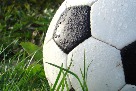 Ein Fußball liegt im Gras.